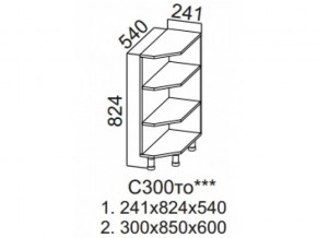 С300то Стол-рабочий 300 (торцевой открытый) в Ивделе - ivdel.магазин96.com | фото