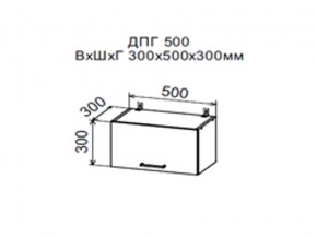 Шкаф верхний ДПГ500 горизонтальный в Ивделе - ivdel.магазин96.com | фото