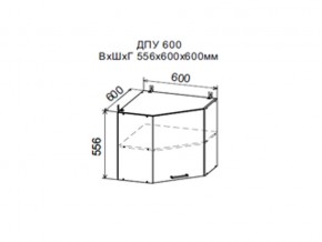Шкаф верхний ДПУ600 угловой в Ивделе - ivdel.магазин96.com | фото